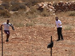 مستوطنون يسيجون أراضي في الأغوار الشمالية