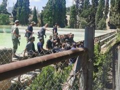 قوات الاحتلال تغلق منطقة برك سليمان جنوب بيت لحم