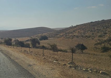 مستوطنون يسيّجون أراضي في الأغوار الشمالية
