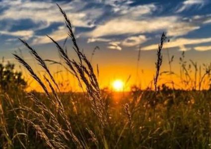 حالة الطقس: أجواء صافية صيفية والحرارة حول معدلها العام