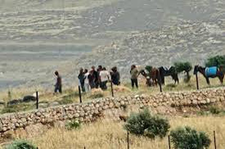 مستوطنون يهاجمون صهريجا للمياه في خلايل اللوز جنوب شرق بيت لحم
