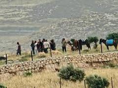 مستوطنون يهاجمون صهريجا للمياه في خلايل اللوز جنوب شرق بيت لحم