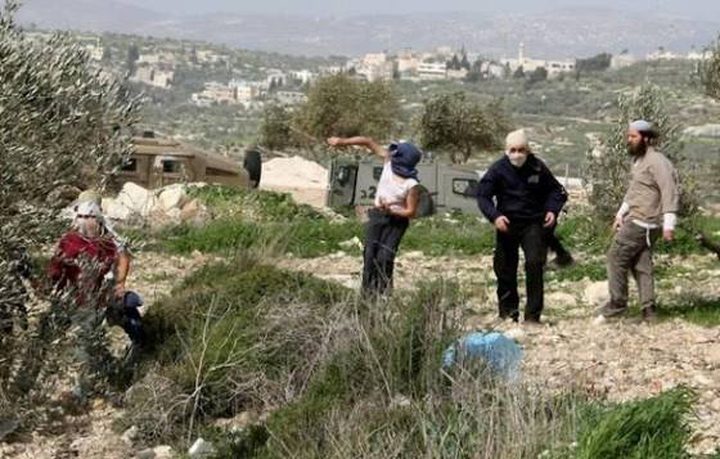 مستوطنون ينفذون جولات استفزازية في عدة مناطق بمحافظة جنين