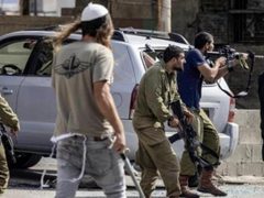 مستعمرون يهاجمون مساكن المواطنين في الاغوار