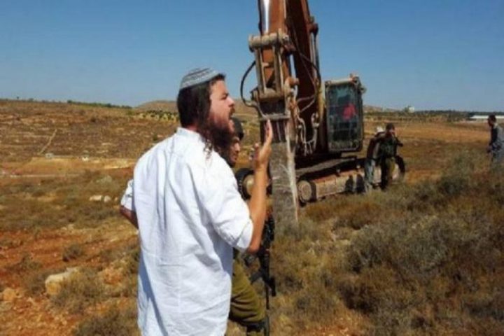 مستوطن يطلق مواشيه في أراضي الطيبة شرق رام الله