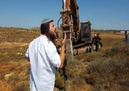 مستوطن يطلق مواشيه في أراضي الطيبة شرق رام الله