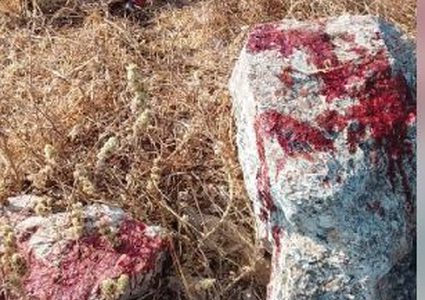الاحتلال يطلق النار على راعٍ ويقتل ثلاثة من أغنامه غرب الخليل