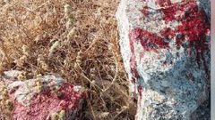 الاحتلال يطلق النار على راعٍ ويقتل ثلاثة من أغنامه غرب الخليل