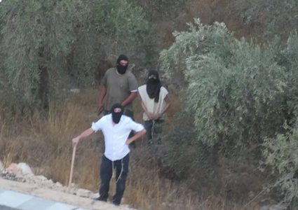 مستوطنون يقطعون عشرات الأشجار المثمرة في خربة فراسين غرب جنين