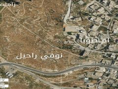 محافظة القدس: مخطط لإقامة مستوطنة جديدة عند مدخل حي أم طوبا