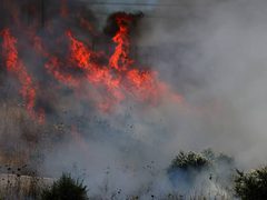 مستوطنون يحرقون أراضي زراعية في قرية جلجليا