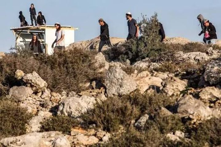 مستوطنون يعتدون على مواطنين وممتلكاتهم في الأغوار الشمالية