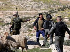 مستوطنون هاجمون منزلا ويقتلعون أشجارا ويسرقون أغناما في المنيا شرق بيت لحم