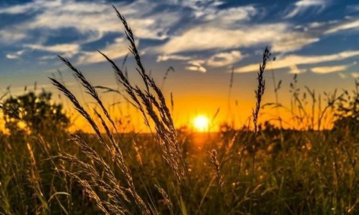 الطقس: أجواء حارة إلى شديدة الحرارة