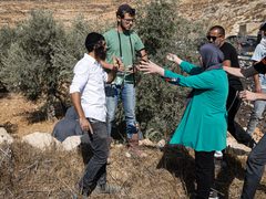 الأمم المتحدة: اعتداءات المستوطنين على المنازل الفلسطينية تصل حدودا لا تطاق