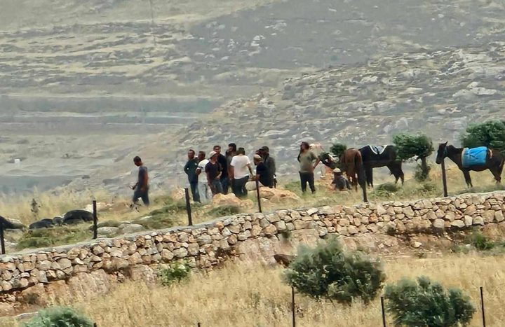 مستعمرون ينفذون جولات استفزازية في جنين