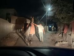 مستوطنون يحاولون سرقة خيول في تياسير شرق طوباس
