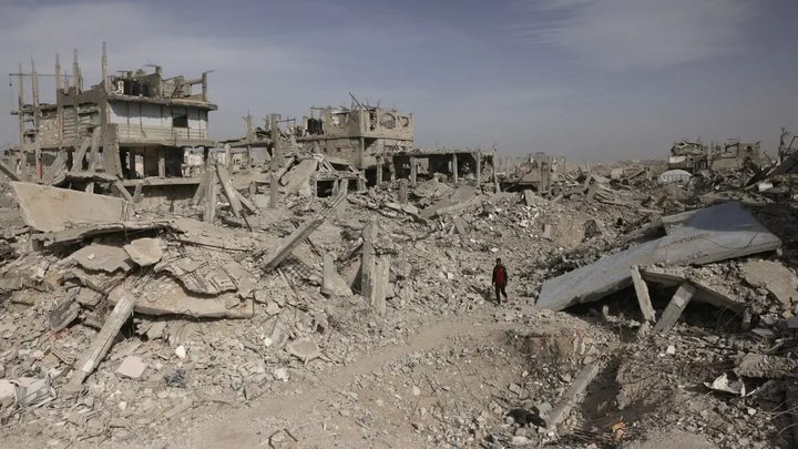 الفاو: تراجع الأراضي الزراعية الصالحة للاستخدام في غزة 25.5%