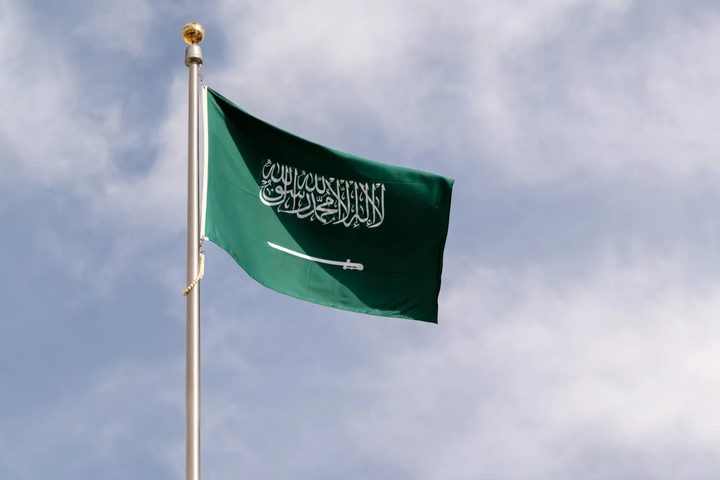 السعودية تؤكد ضرورة بقاء مضيقي هرمز وباب المندب آمنين للملاحة