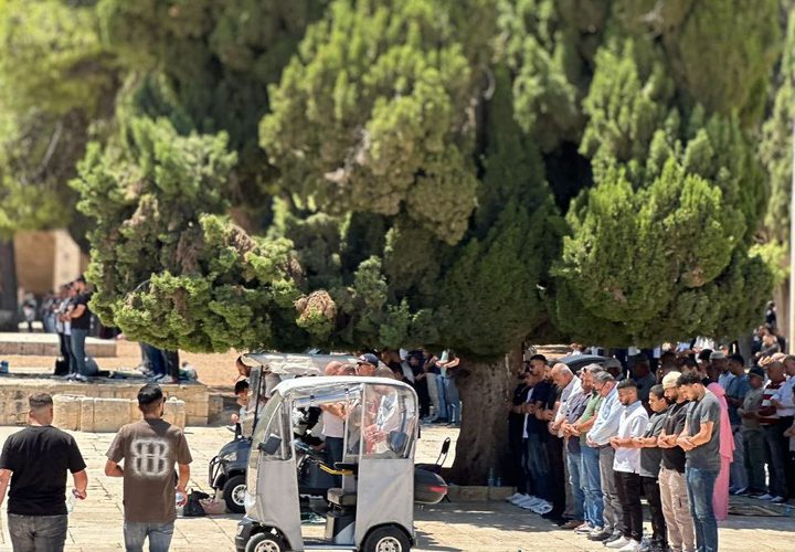 تزامنا مع ذكرى إحراقه الـ 57.. عشرات الآلاف يؤدون صلاة الجمعة في المسجد الأقصى المبارك