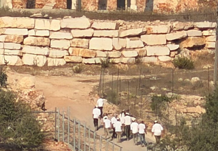 مستوطنون ينفذون جولات استفزازية على أطراف قرية بورين جنوبي نابلس.