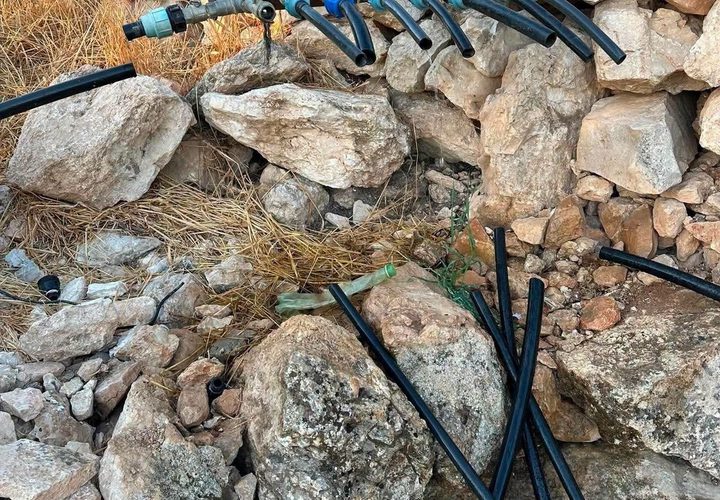 آثار اعتداء المستوطنين على الأراضي الزراعية وخطوط المياه في بيت لحم.
