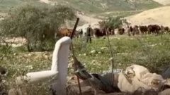 مستوطنون يرفعون علم الاحتلال في حرم مسكن عائلة بالأغوار الشمالية