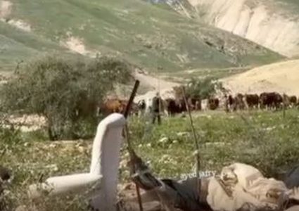 مستوطنون يرفعون علم الاحتلال في حرم مسكن عائلة بالأغوار الشمالية