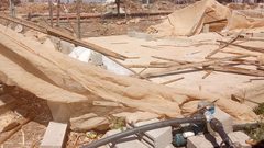قوات الاحتلال تجبر المواطن أنور فقهاء على هدم منشآت زراعية له في عين البيضاء بالأغوار الشمالية.