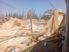 قوات الاحتلال تجبر المواطن أنور فقهاء على هدم منشآت زراعية له في عين البيضاء بالأغوار الشمالية.