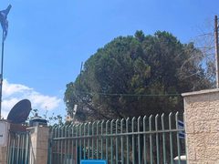 الأمم المتحدة تدين استيلاء الاحتلال على مركز تدريب قلنديا بالقدس الشرقية المحتلة