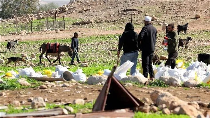 مستوطنون يطاردون رعاة أغنام ويسرقون معدات زراعية في مسافر يطا