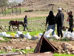 مستوطنون يطاردون رعاة أغنام ويسرقون معدات زراعية في مسافر يطا