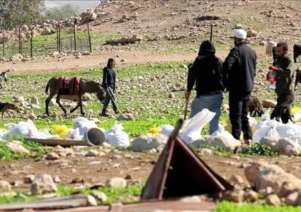 مستوطنون يطاردون رعاة أغنام ويسرقون معدات زراعية في مسافر يطا