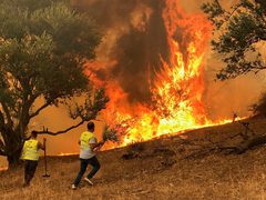 12 قتيلا في حرائق غابات بالجزائر والنيران تقترب من مناطق سكنية