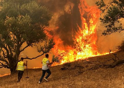 12 قتيلا في حرائق غابات بالجزائر والنيران تقترب من مناطق سكنية