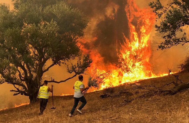 12 قتيلا في حرائق غابات بالجزائر والنيران تقترب من مناطق سكنية