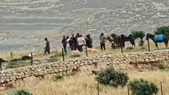 مستوطنون إرهابيون يمنعون المواطنين من أداء صلاة الجمعة في خربة طانا شرق نابلس