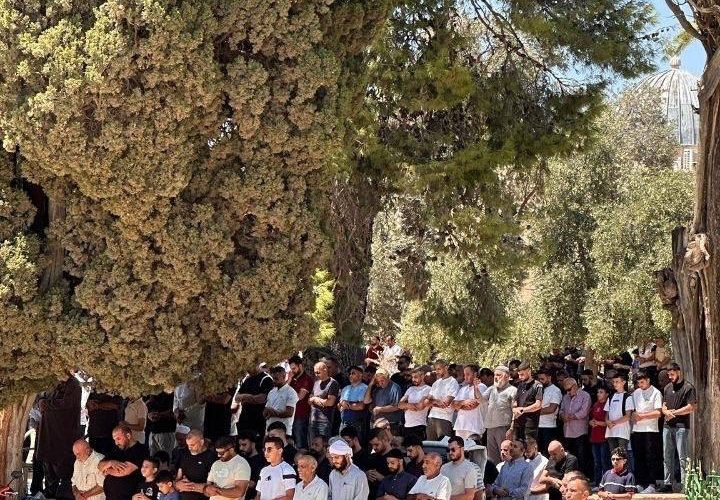 عشرات الآلاف أدّوا صلاة الجمعة في المسجد الأقصى المبارك.