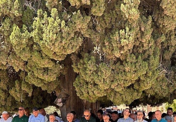 عشرات الآلاف أدّوا صلاة الجمعة في المسجد الأقصى المبارك.