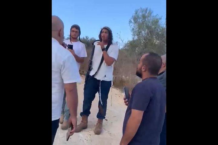 مستوطنون يعتدون على المواطنين وأشجار الزيتون في عرابة جنوب جنين