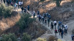مستوطنون ينفذون جولات استفزازية في برقا والاحتلال يغلق مدخلها