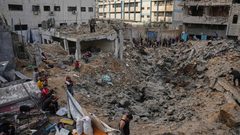 الحايك: استمرار معاناة غزة يستدعي تحركاً دولياً ومحاسبة إسرائيل