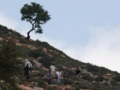 مستوطنون يخلعون ويسرقون بوابات أراض زراعية جنوب شرق بيت لحم