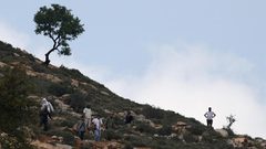 مستوطنون يخلعون ويسرقون بوابات أراض زراعية جنوب شرق بيت لحم