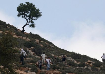 مستوطنون يخلعون ويسرقون بوابات أراض زراعية جنوب شرق بيت لحم