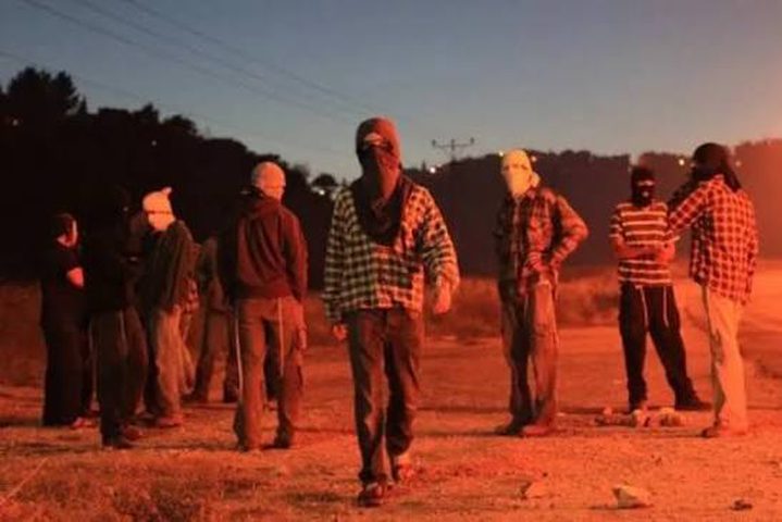 مستوطنون يهاجمون قرية برقا ويعتدون بالضرب على نساء وأطفال