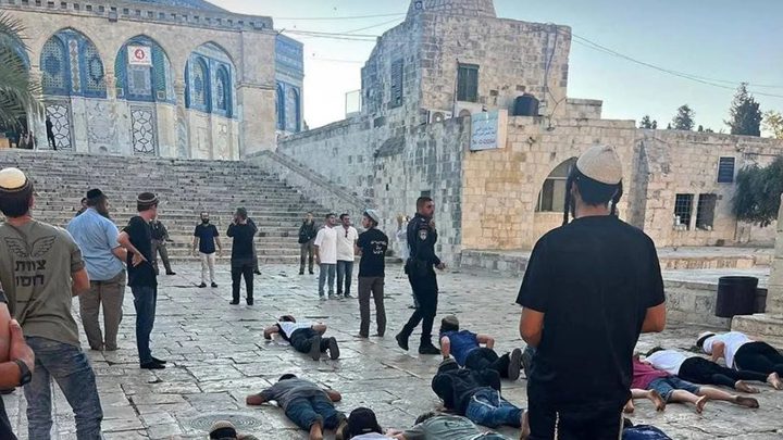 محافظة القدس: شهيدان و5209 مستوطنين اقتحموا الأقصى و40 عملية هدم وتجريف خلال آب