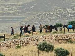 الاحتلال يغلق المغير ومستوطنون يقتحمون أطرافها