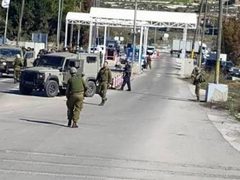الاحتلال يعتقل شابا قرب حاجز قلنديا وآخر في جبع شمال القدس